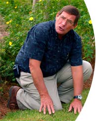 Photo of man working in a Florida garden and link to professionals' corner