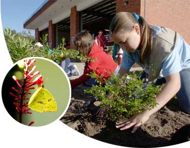 Photo of girl scout planting a shrub