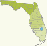 State of Florida image