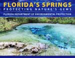 Graphic link to Florida Springs website
