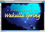 Graphic link to Wakulla Springs website